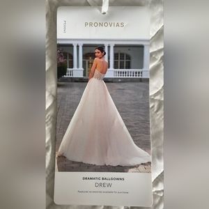 Pronovias Drew Wedding Gown
